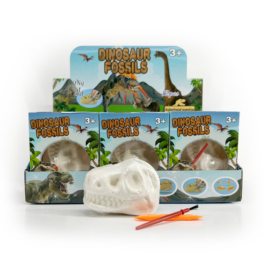 Dinosaur Fossils