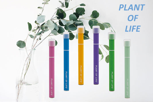 Plant of life CBD Disposable Vaporizer