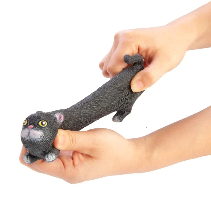 Stretchy the Cat