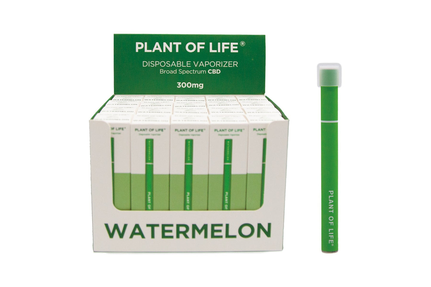 Plant of life CBD Disposable Vaporizer